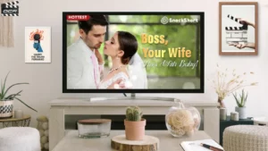 Where to watch Boss Your Wife Flees With Baby